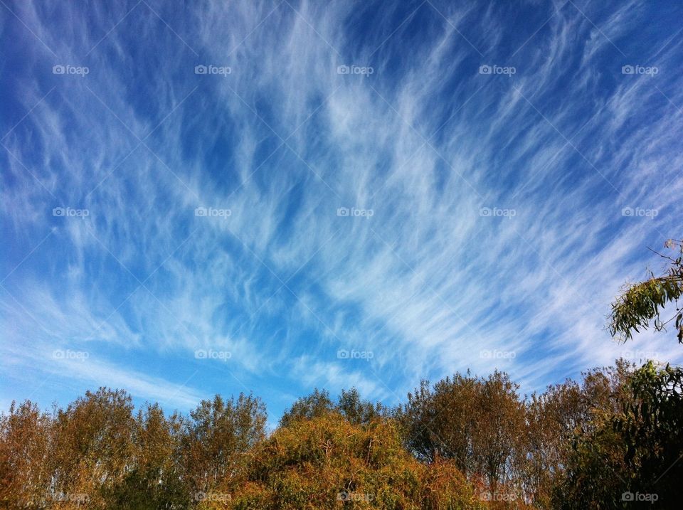 Clouds just passing by in my neighborhood. Blue skies and colorful trees. Must be autumn soon