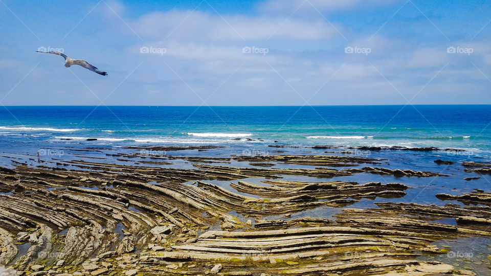 Seascape in Ciboure, France