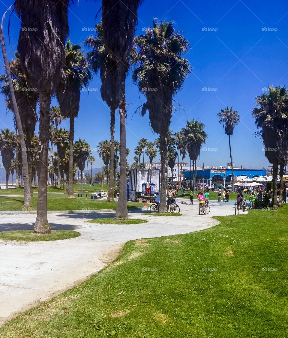 Famous Venice Beach in Los Angeles California USA