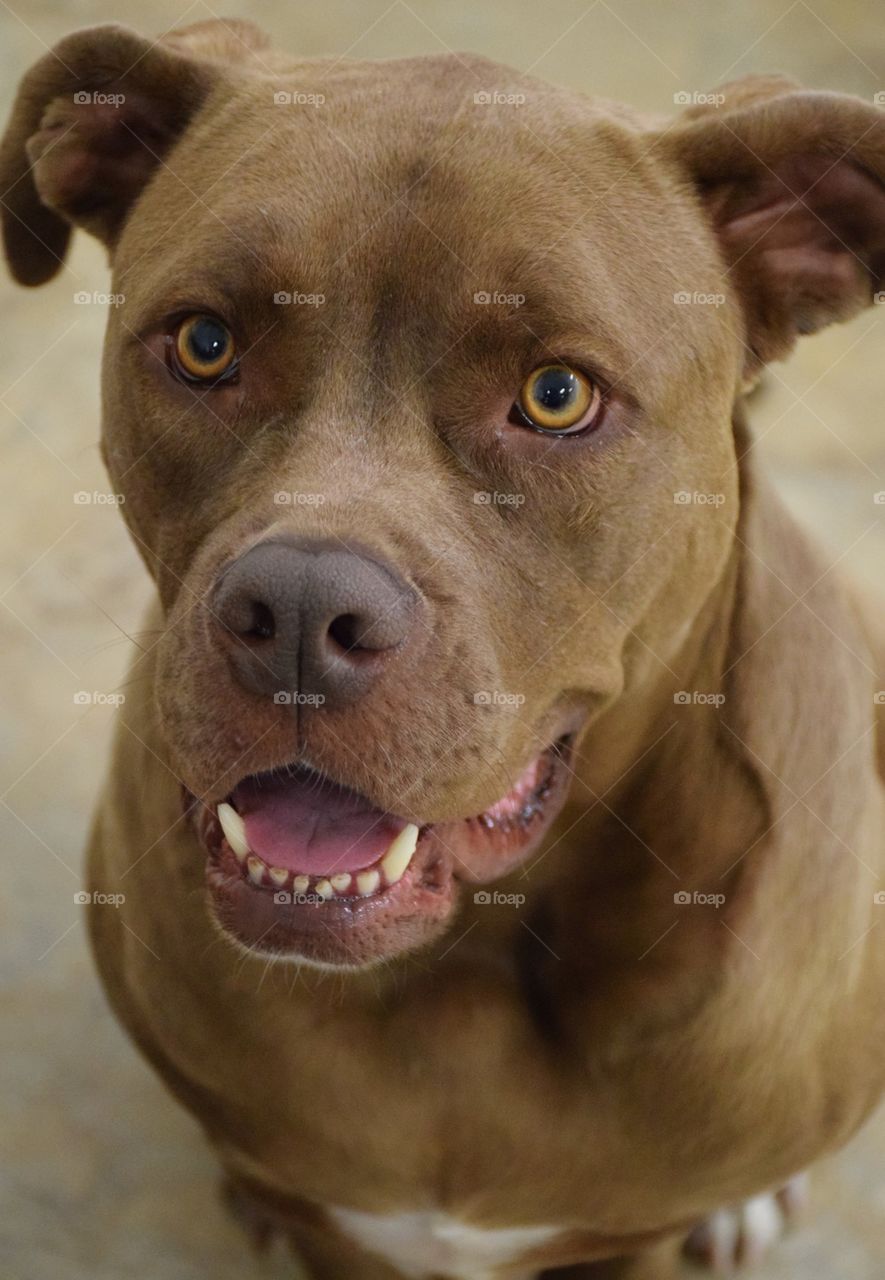 Another GREAT Doc Picture