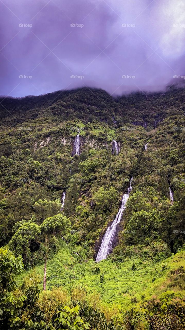 Voile de la mariée - Reunion Island - Paradise 