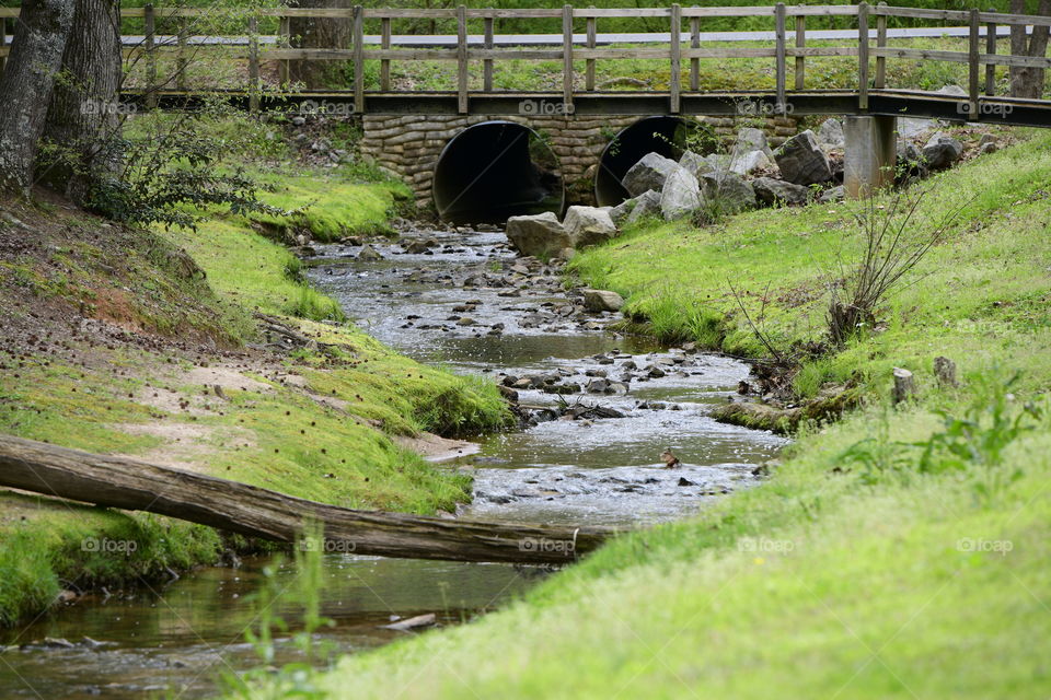 Spring flowing creek with green grass and white water
