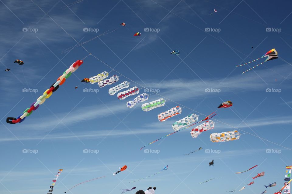 Kites in Fuertaventura, Canary Island