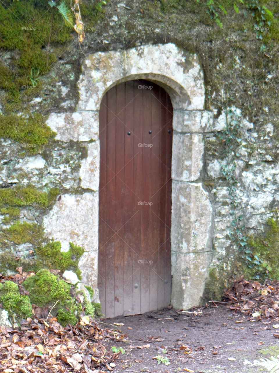 Forgotten Cellar door