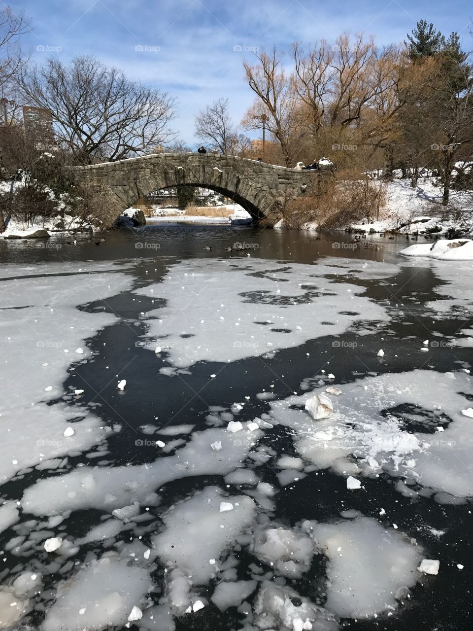 Frozen pond
