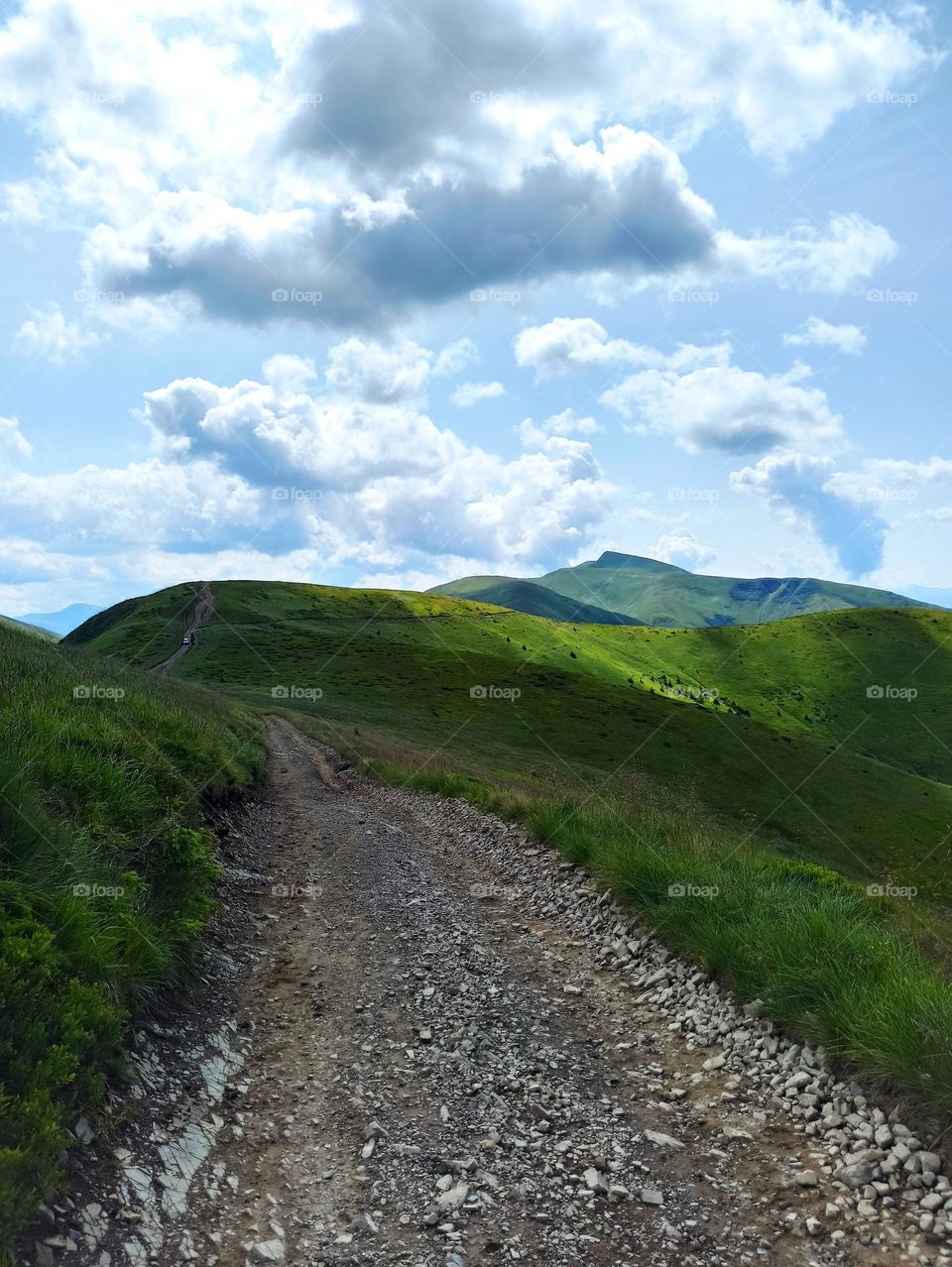 trekking in the mountains. travel to the Carpathian mountains