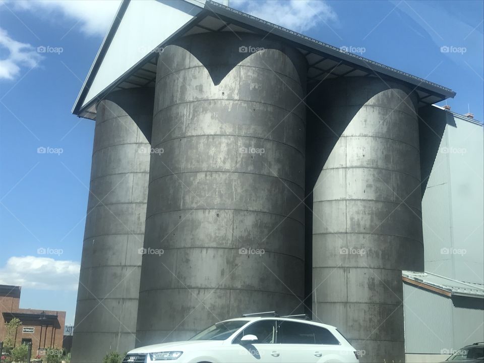 Wild building design