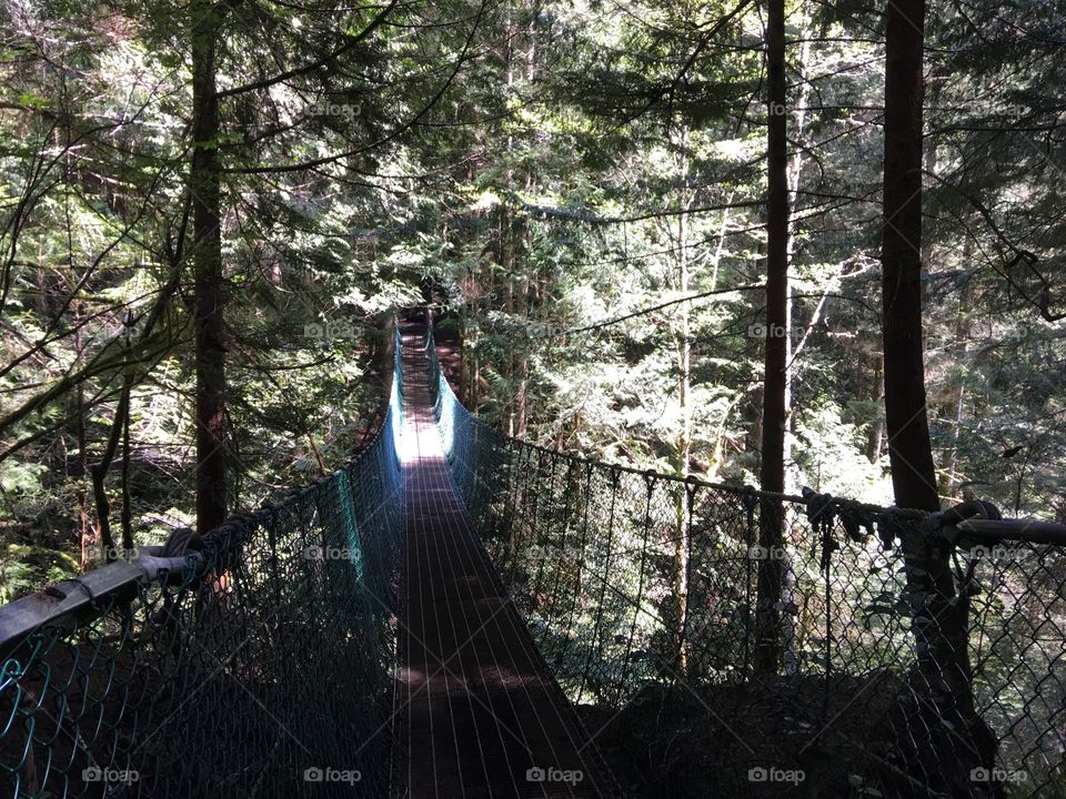 Suspension bridge through the woods 