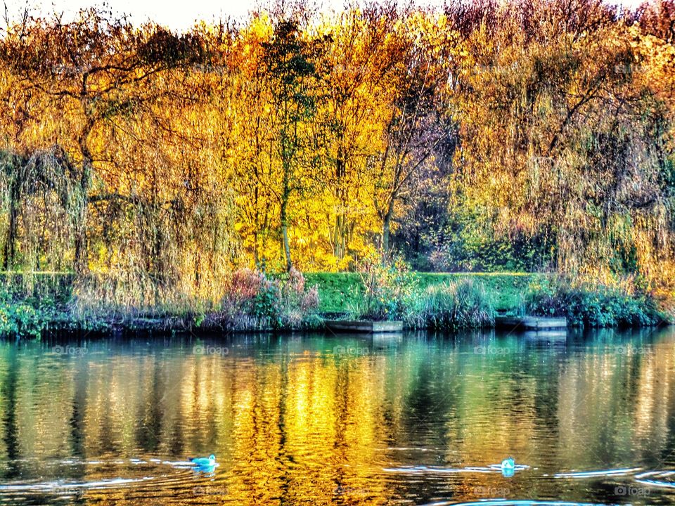 Lake. Nature reserve 