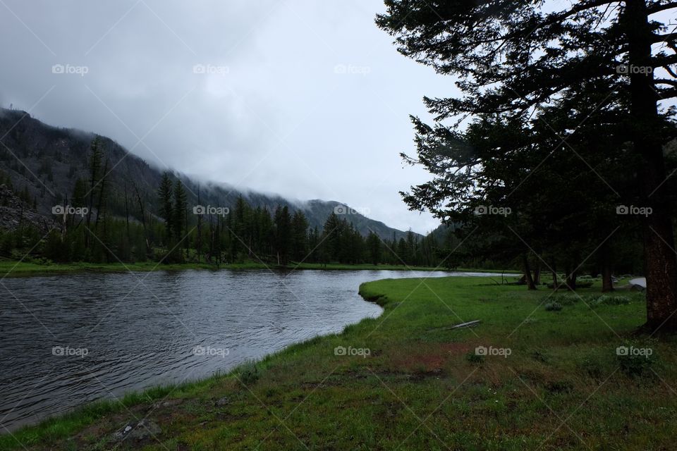 Banks of river. Lush grassy banks of a river. Hills covered with fog.