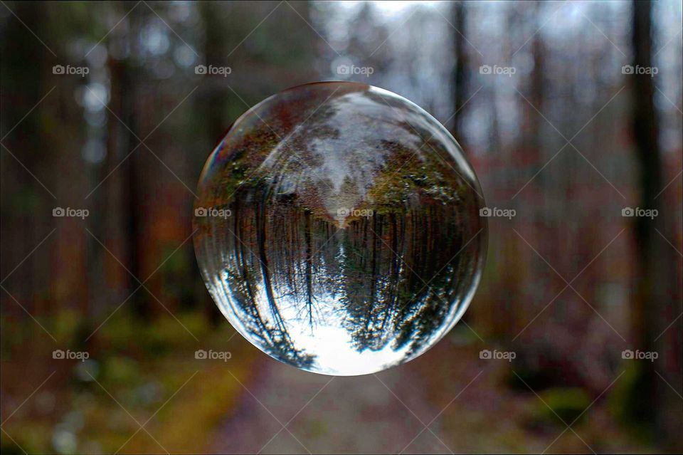 Lensball