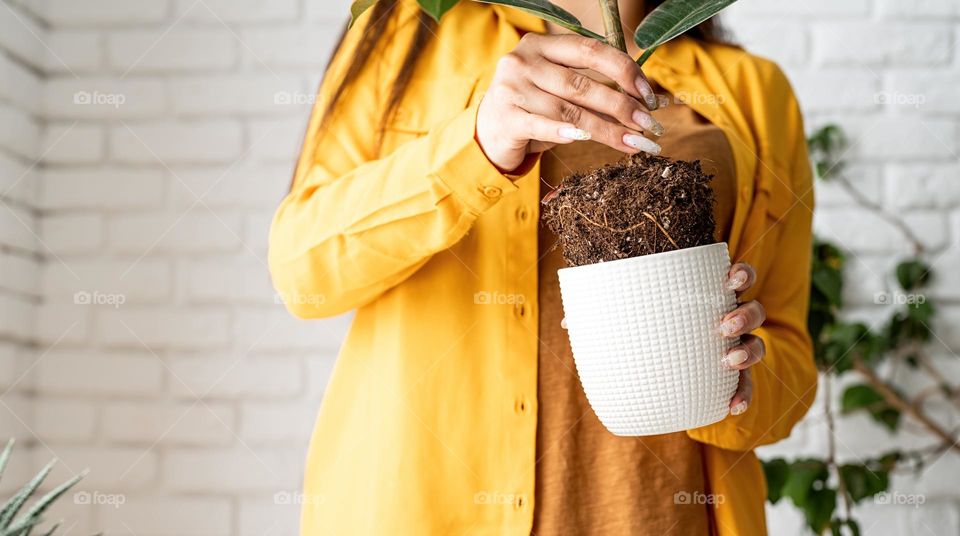 woman planting plant