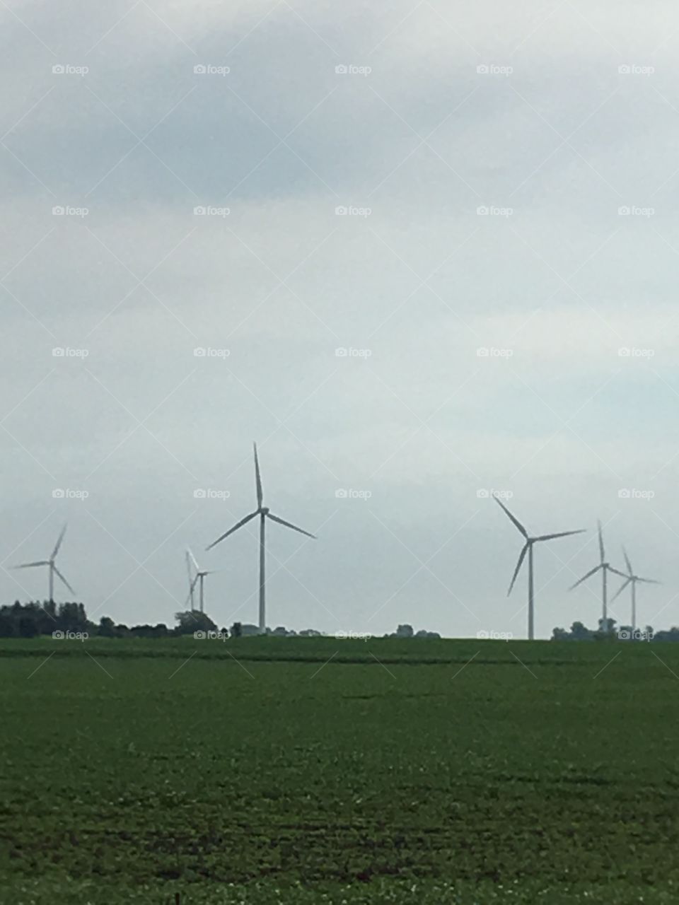Wind farm Iowa