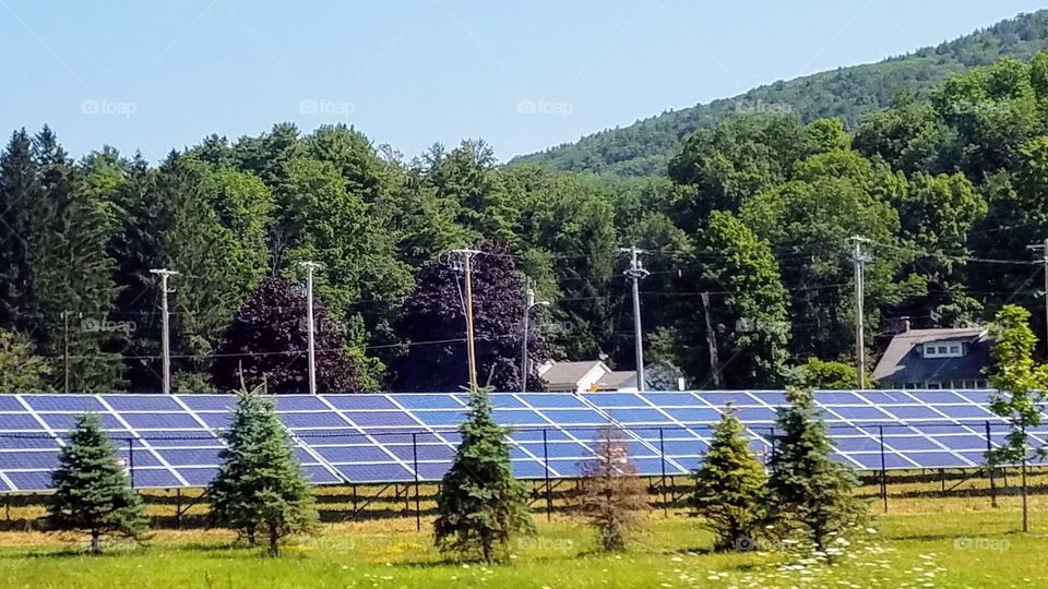 Large area of solar panels runs a long distance along an area in the bright sun. These provide electricity to an area of homes.