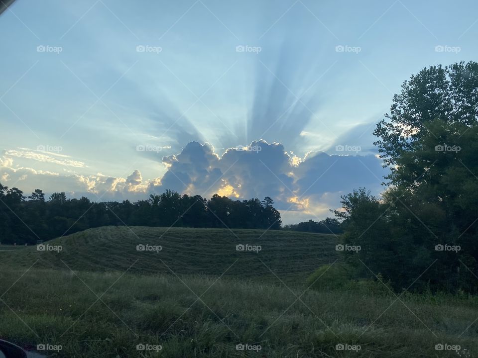 Series: A View From My Window 