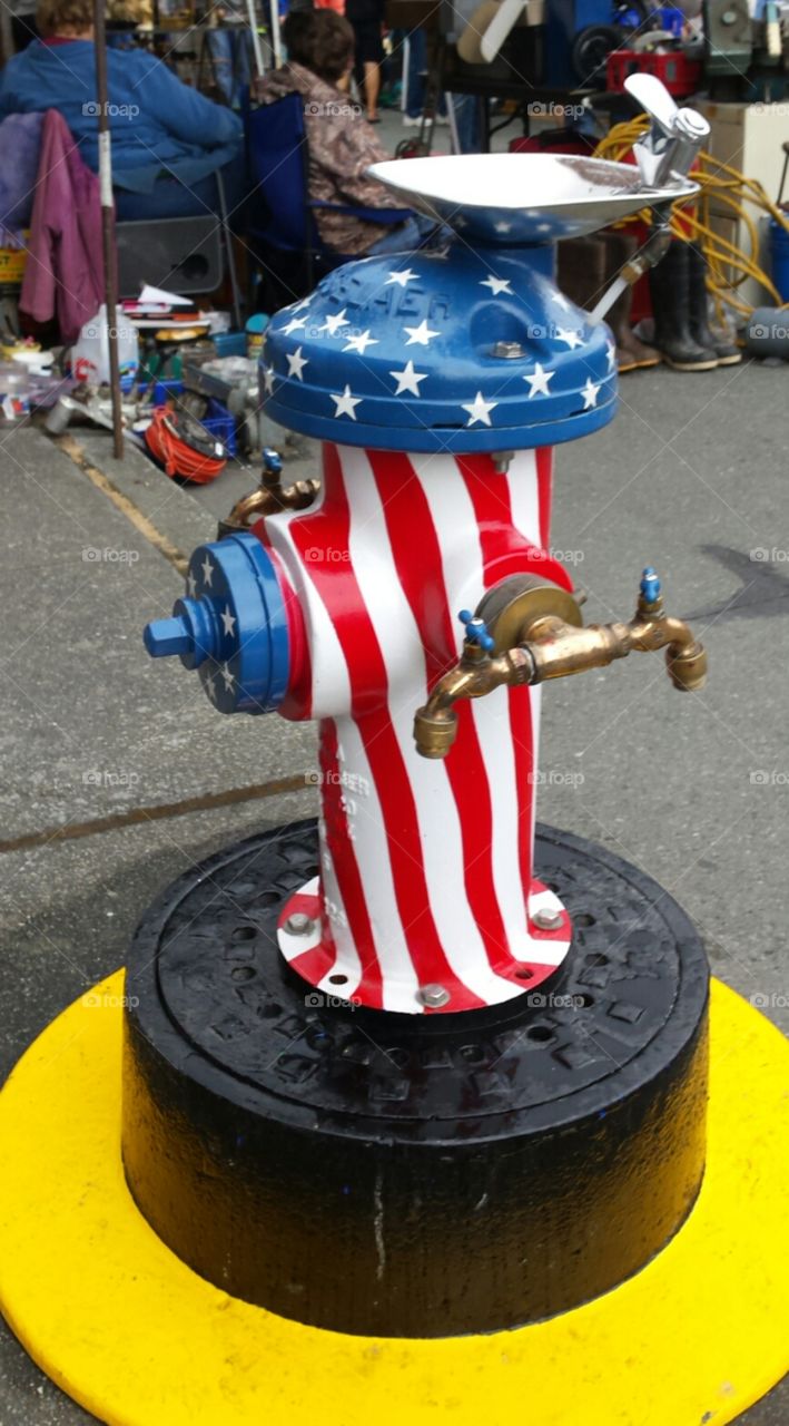 patriotic plug. Taken in La Conner, Washington