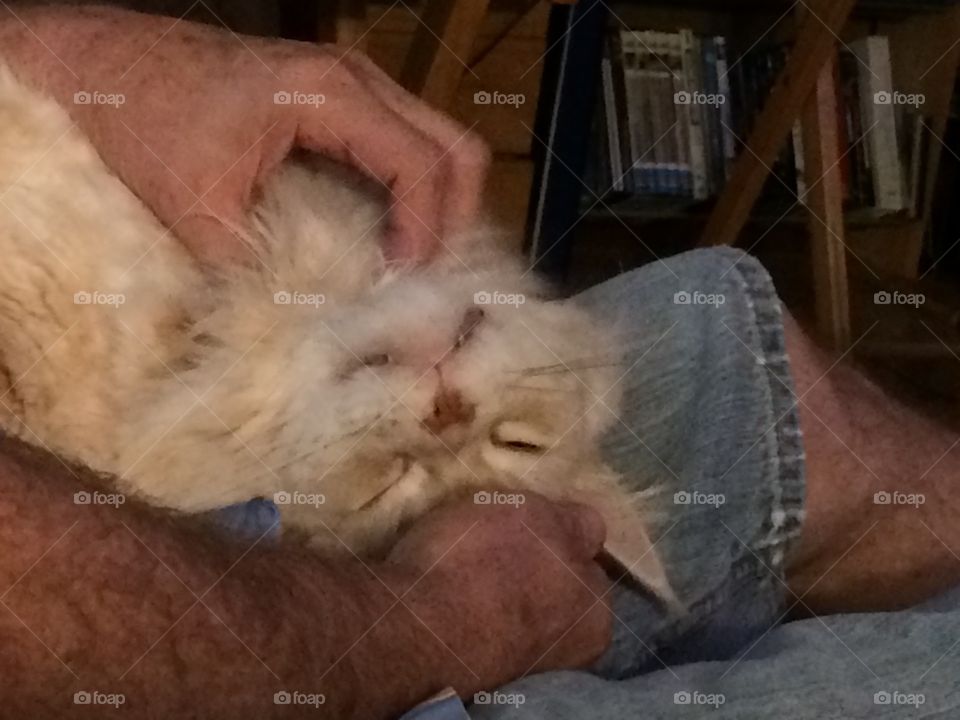 Oh yes, that's the spot !