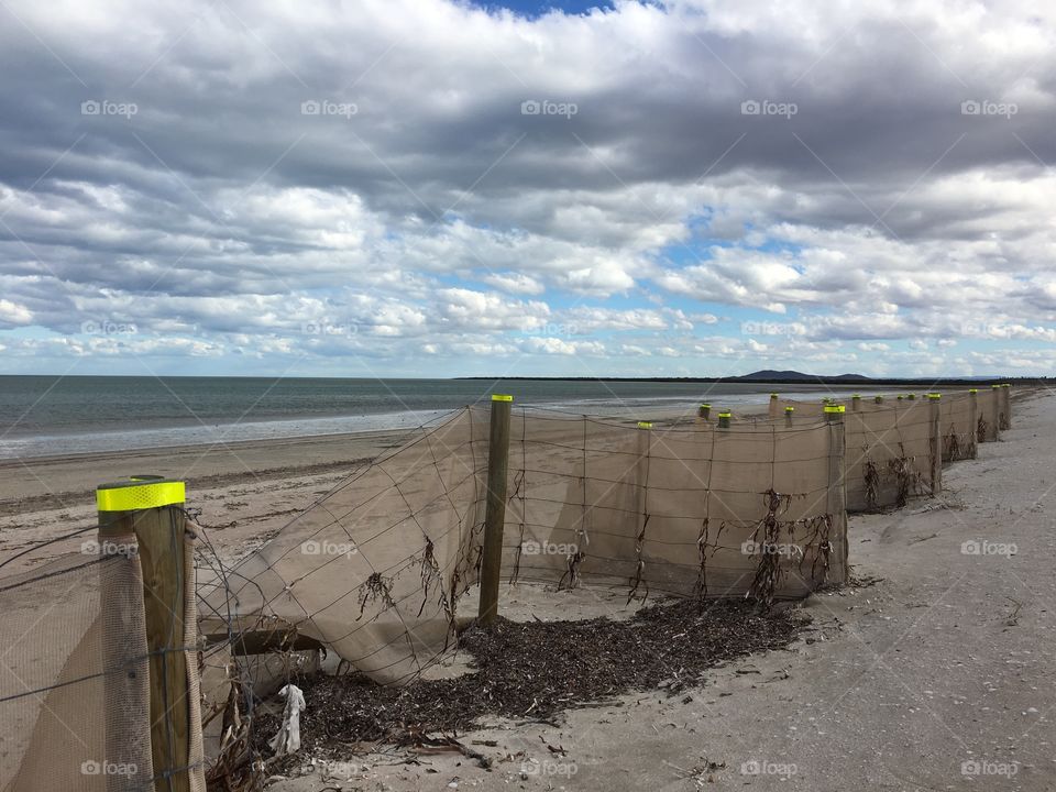 A perspective shot of a sand preservation fence along a south Australian beach mangroves in distance 