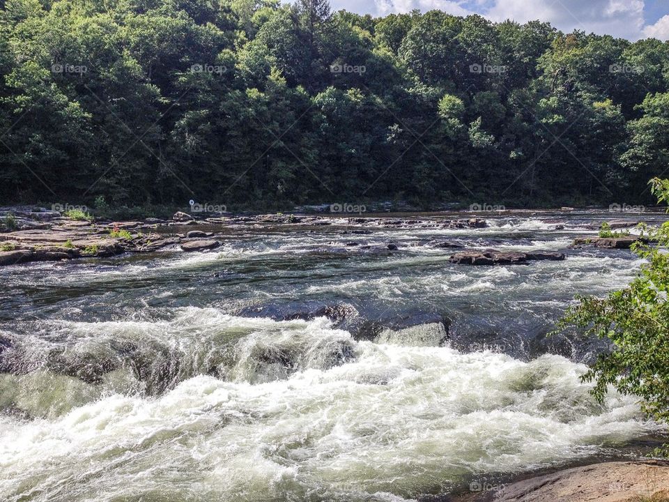 Rapids and trees