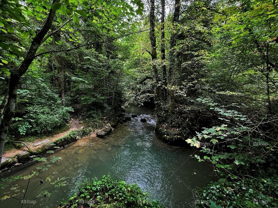 Jura view. 
Pictures of the Nature itself.