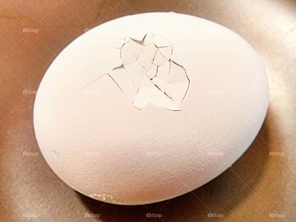 cracked egg