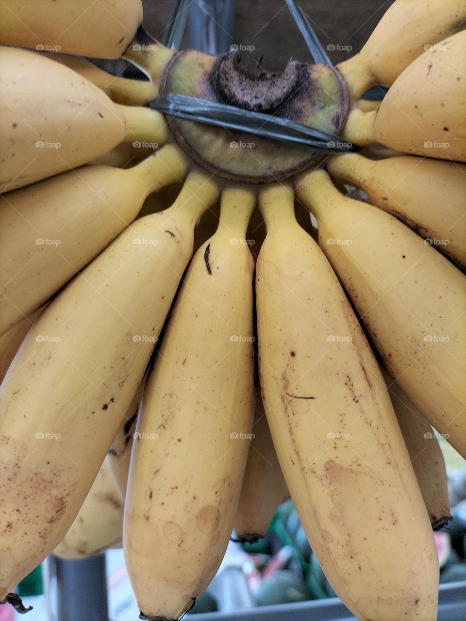 delicious monkey food banana fruit