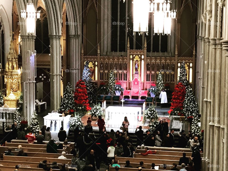 The holy Christmas 
St Michael's cathedral 
Toronto