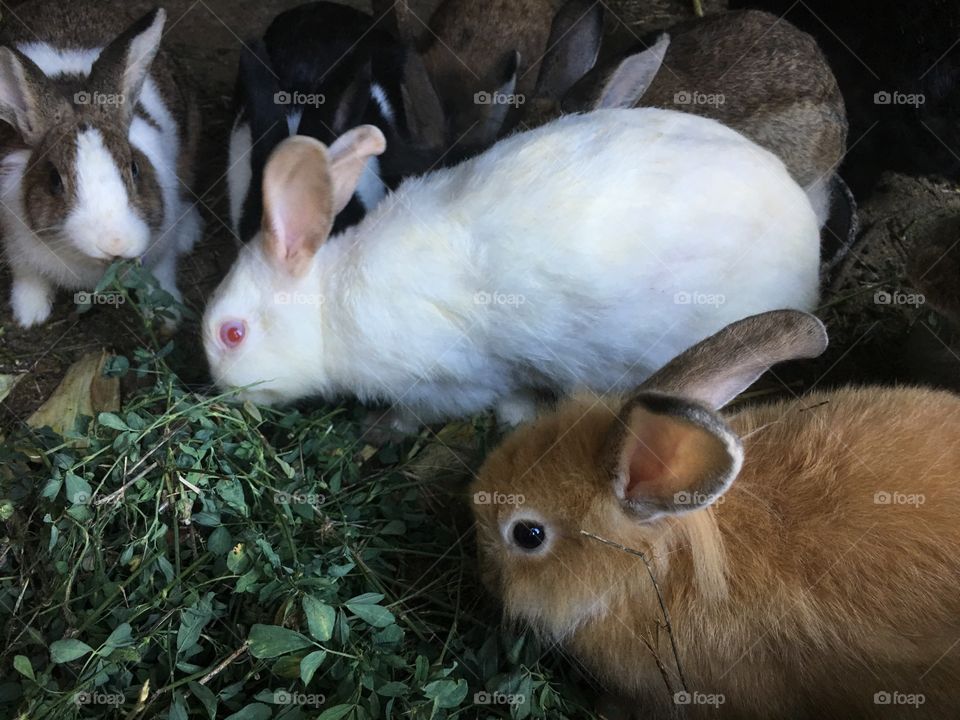 Eating  together