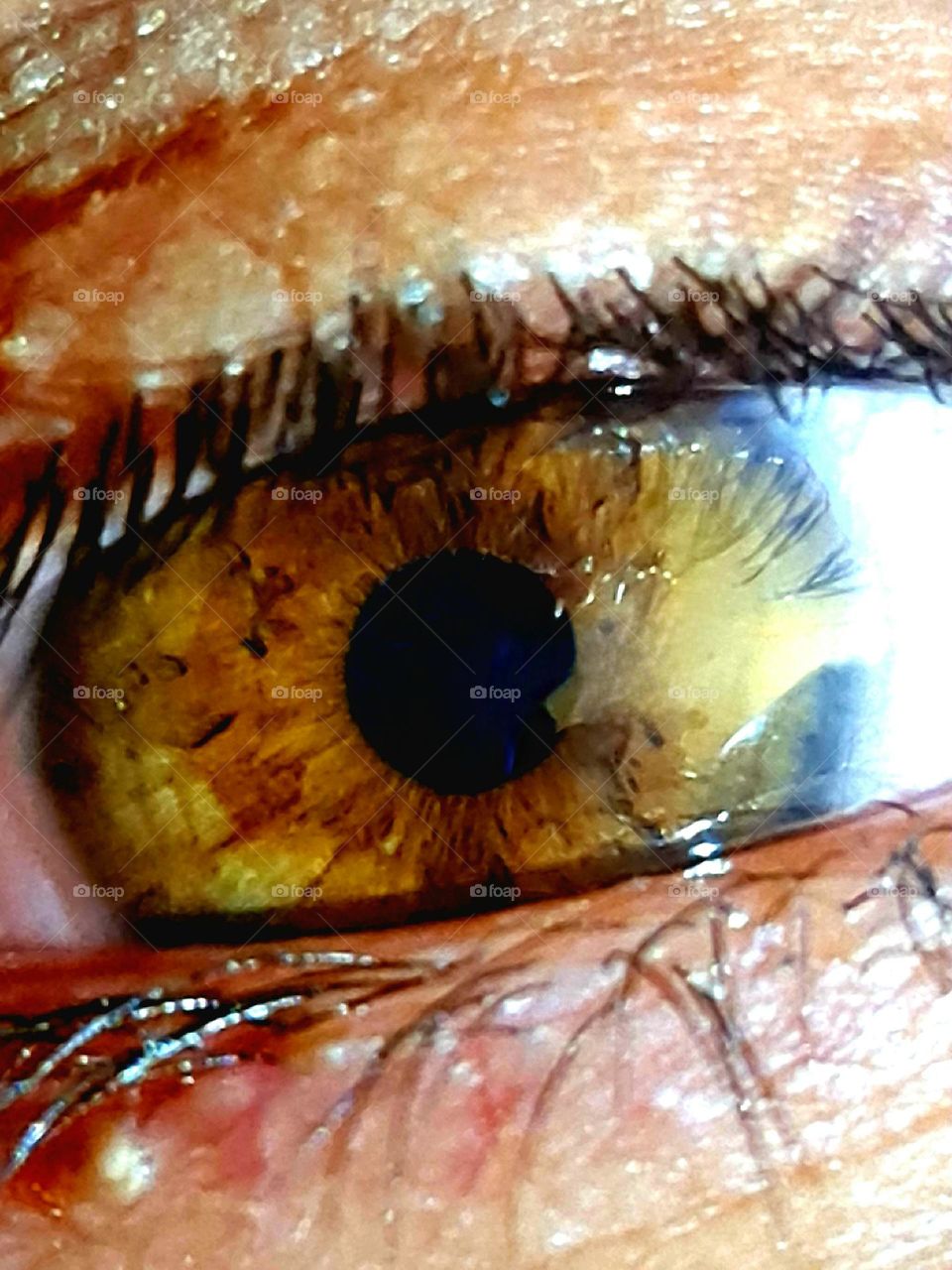 We learn life's deepest mysteries through eye contact...