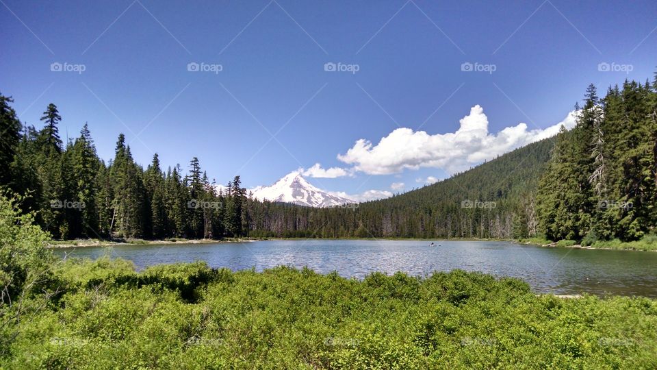 Scenics view of idyllic in lake
