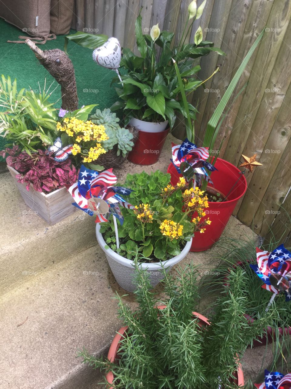 Flower, Garden, No Person, Pot, Flora