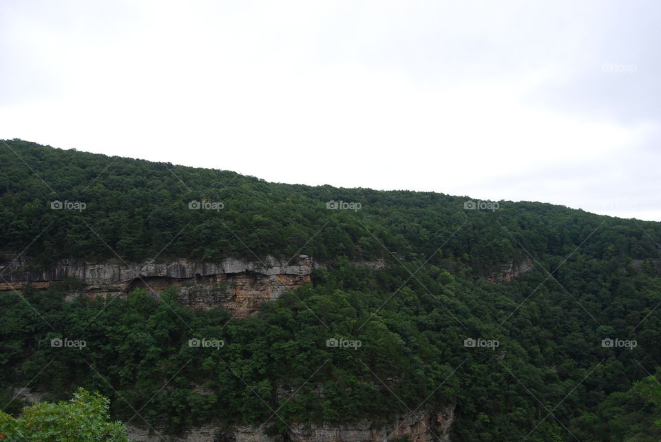 Mountain Range in the Forest