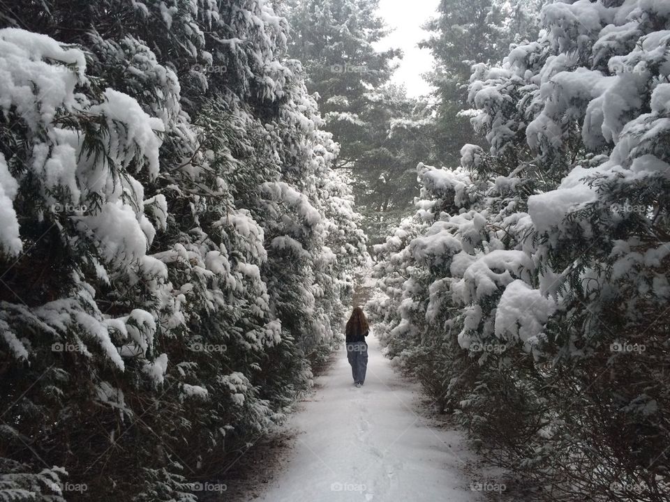Walking in a winter wonderland