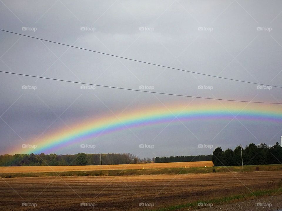 Rainbow of colours