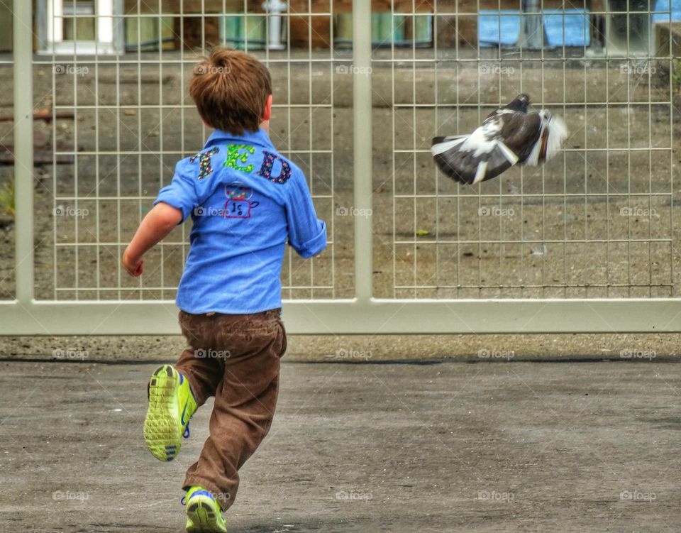 Ted chasing a bird