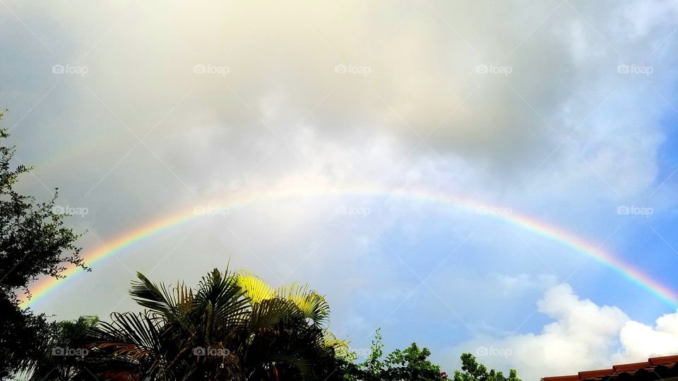 Somewhere Over the Rainbow - Florida rainbowa