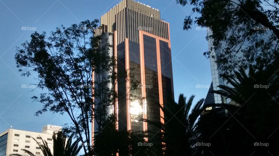 Reforma 's building. One of the buildings at Reforma avenue. Zona Rosa, Mexico City