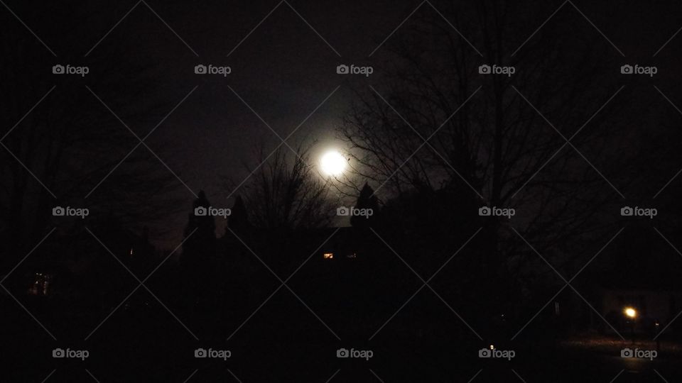 moon lit nite