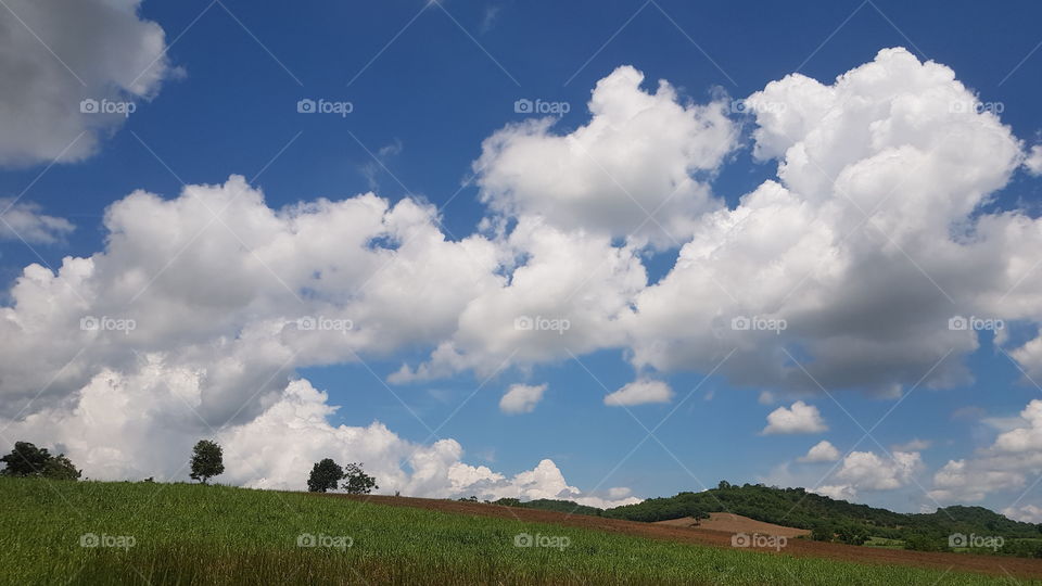 The clouds and sky meadows 