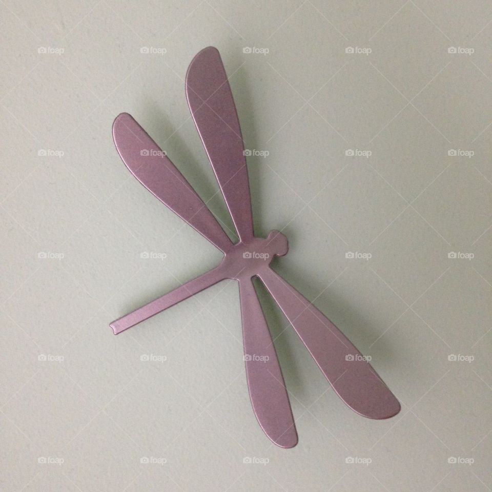 Love dragonflies and have them in my wall