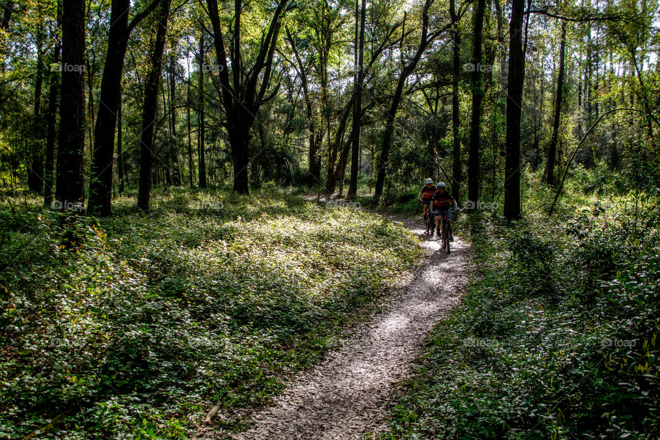 Biking in the woods