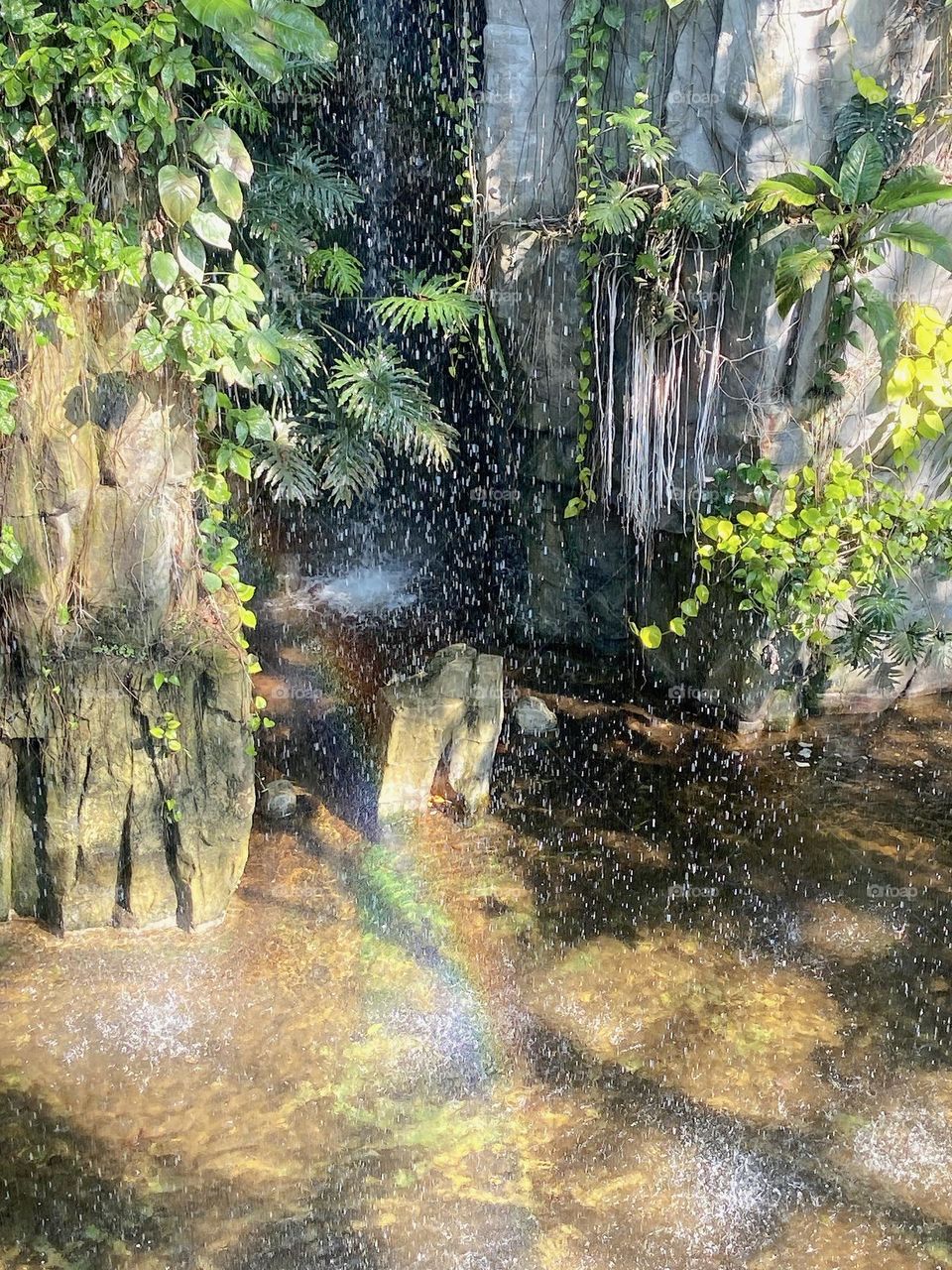 Rainbow Splash: The Moment a Small waterfall Creates a pool of colors
