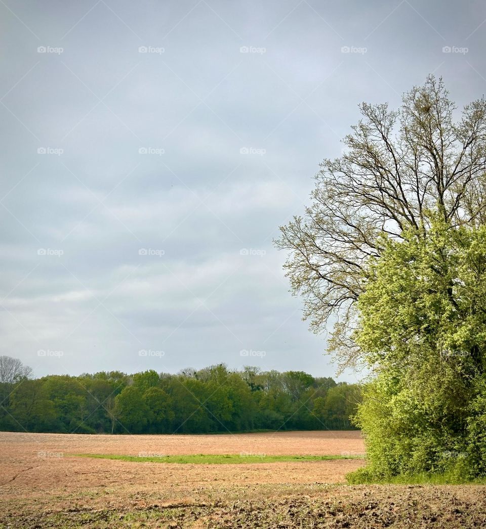 Countryside , France April 2023 . 