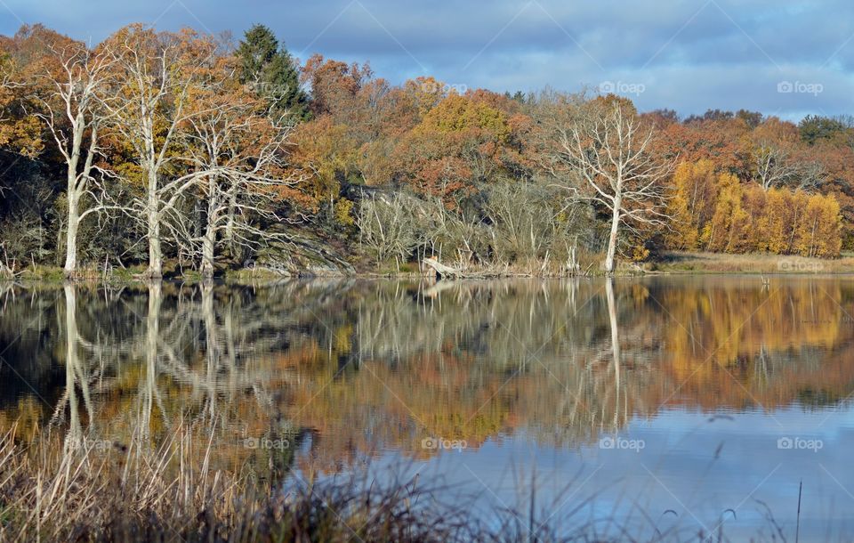 Kvalmsö naturreservat, reflections in fall