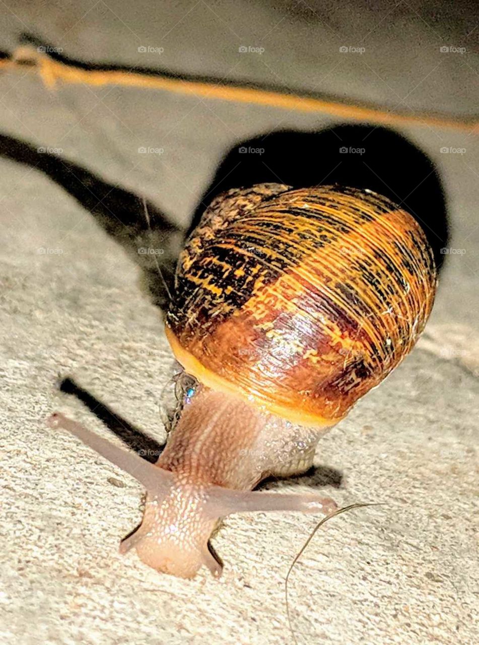 Snail mail, it still exists hahaha....