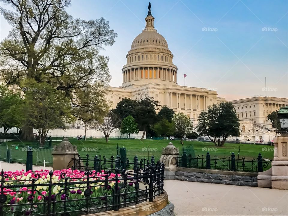 US Capitol, Washington DC
