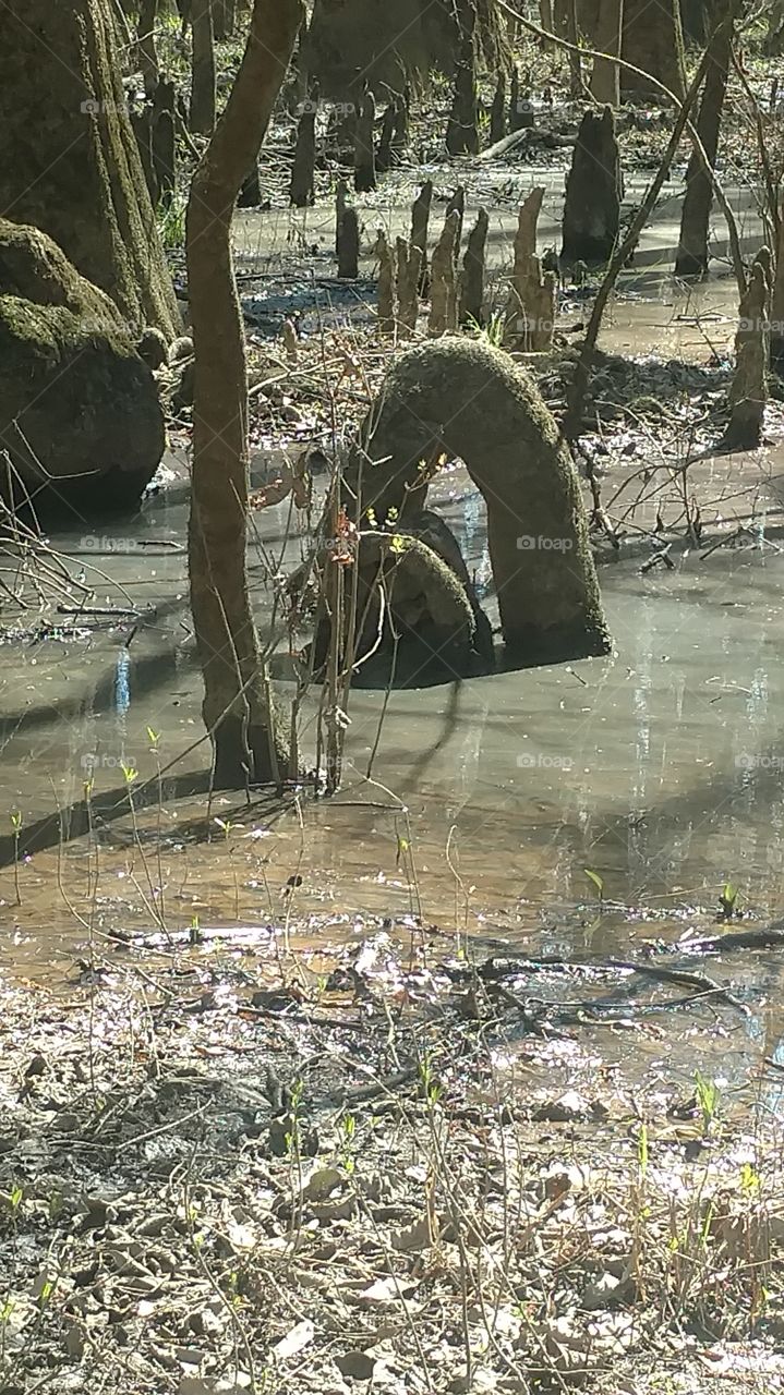 Water, Nature, Waste, Environment, Calamity