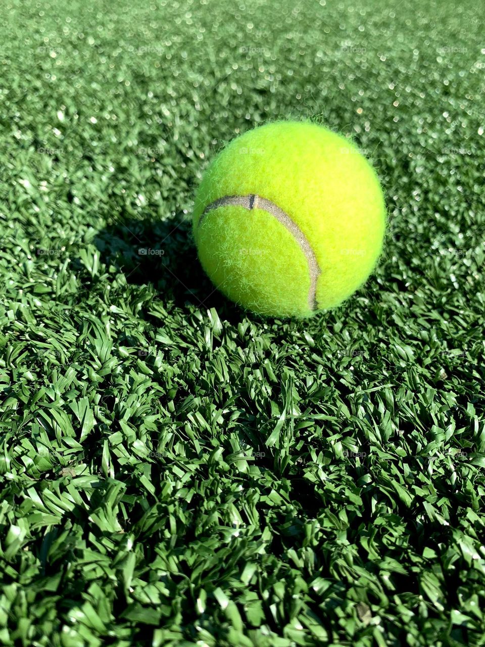 Tennis ball on grass court