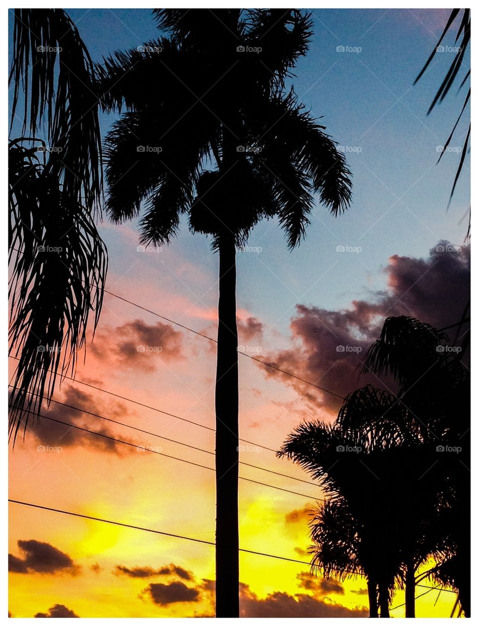 Sunrise in Florida #5