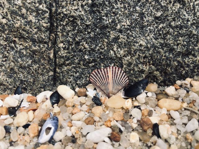 exploring the sand
